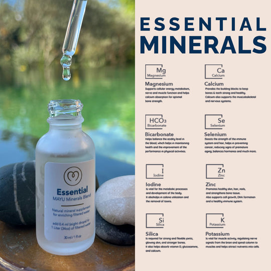 The Starter Kit - Minerals Edition